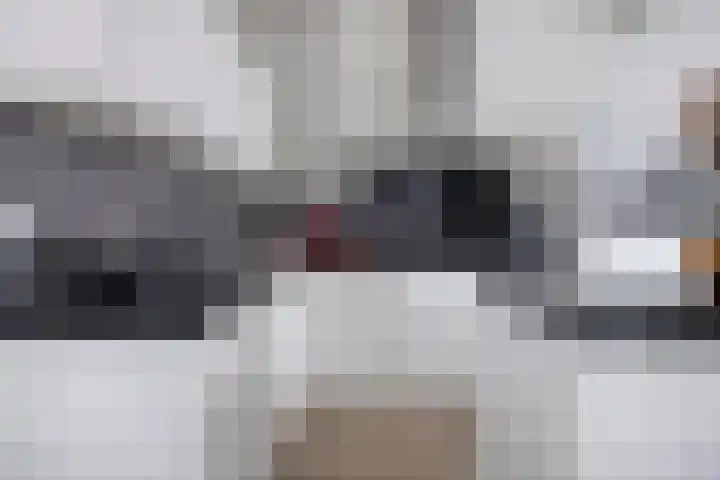 Vossenstaart 1 Made thumbnail 13
