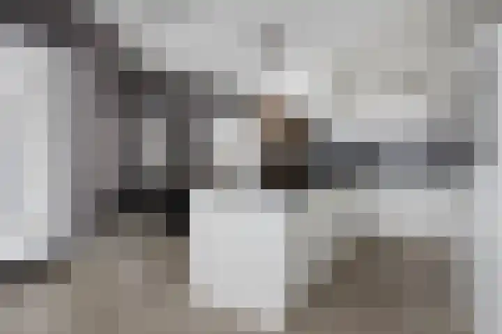 Vossenstaart 1 Made thumbnail 16
