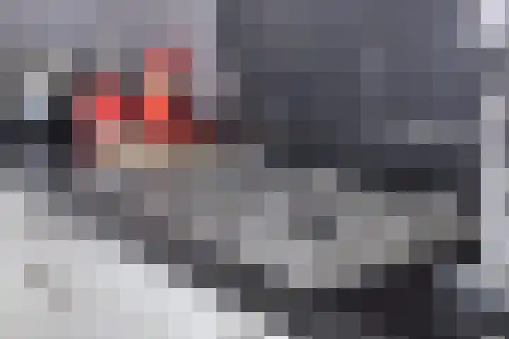 Vossenstaart 1 Made thumbnail 17