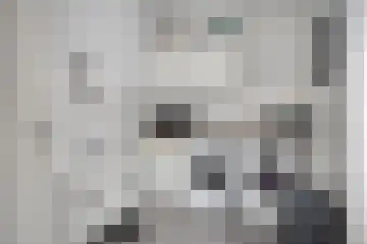 Vossenstaart 1 Made thumbnail 18