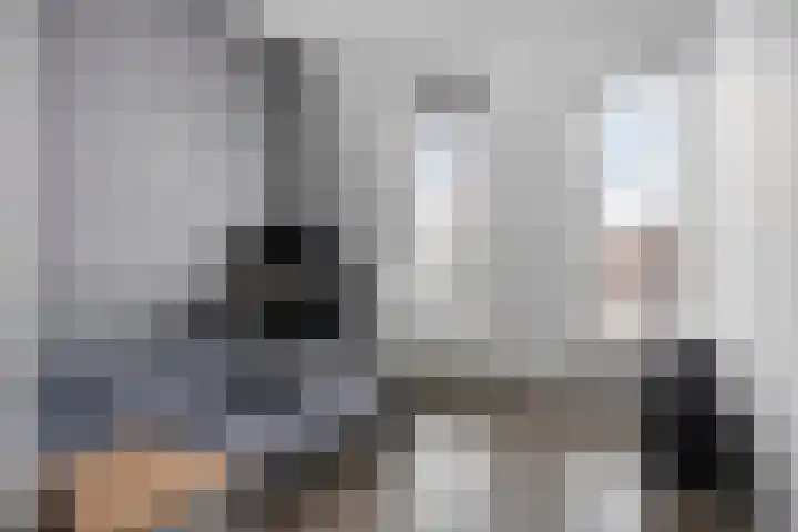 Vossenstaart 1 Made thumbnail 26