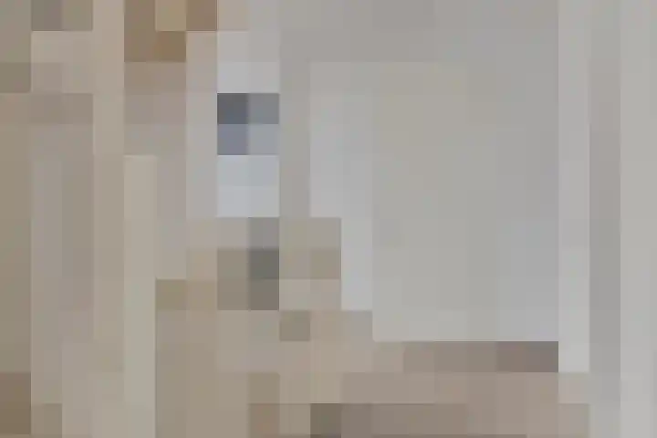 Vossenstaart 1 Made thumbnail 34