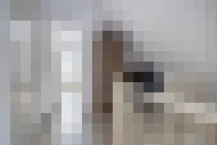 Vossenstaart 1 Made thumbnail 36