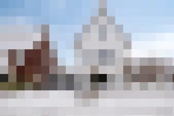 Vossenstaart 1 Made thumbnail 4