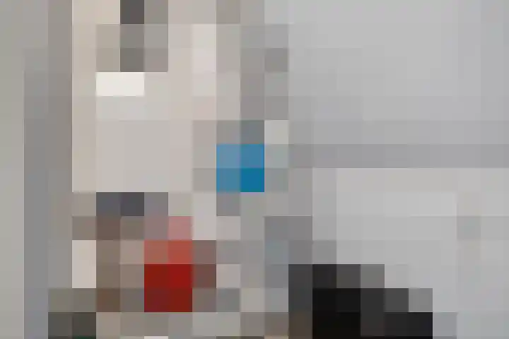 Vossenstaart 1 Made thumbnail 41