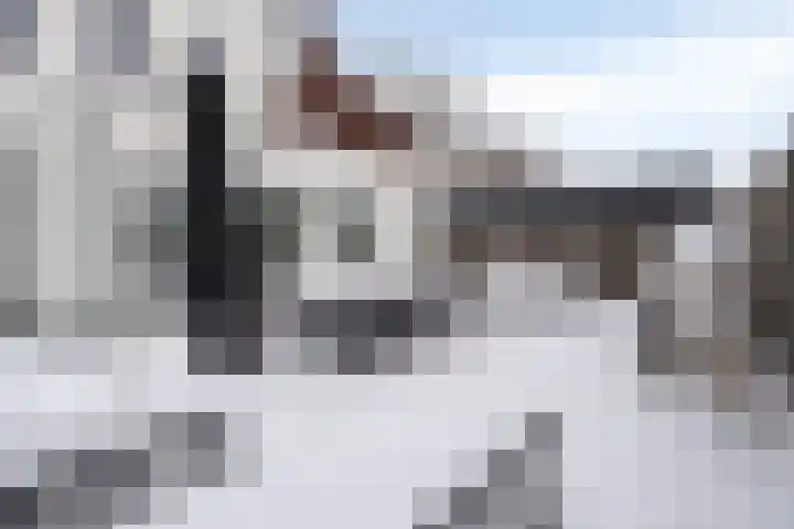 Vossenstaart 1 Made thumbnail 48