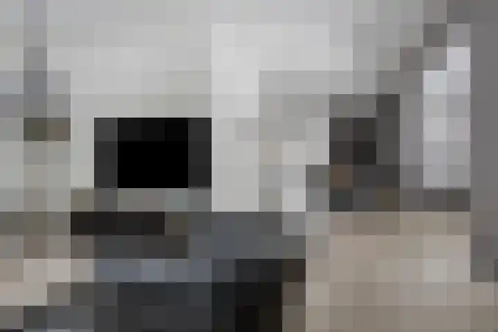 Vossenstaart 1 Made thumbnail 8