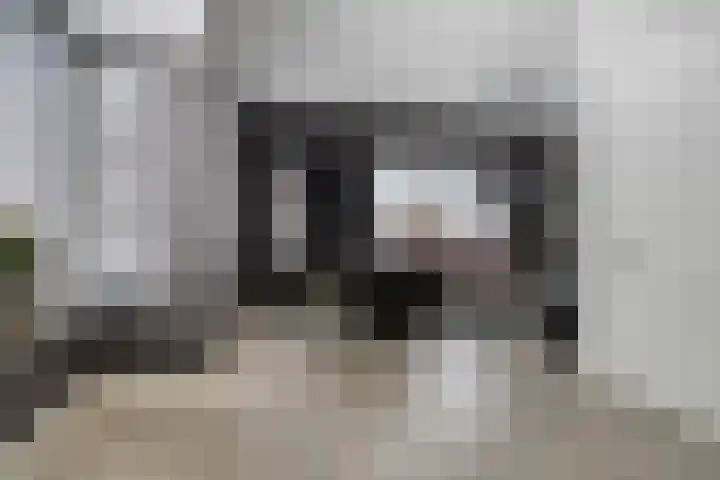 Vossenstaart 1 Made thumbnail 9