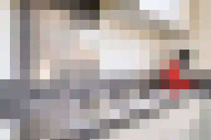 Vossenstaart 3 Made thumbnail 15