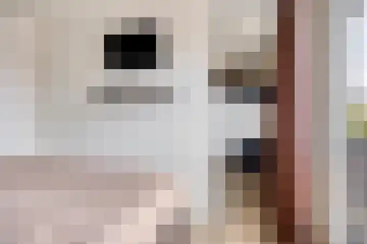 Vossenstaart 3 Made thumbnail 22