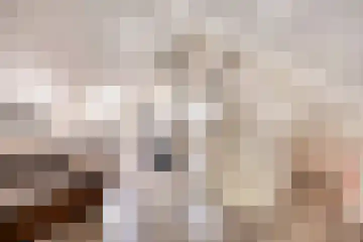 Vossenstaart 3 Made thumbnail 31