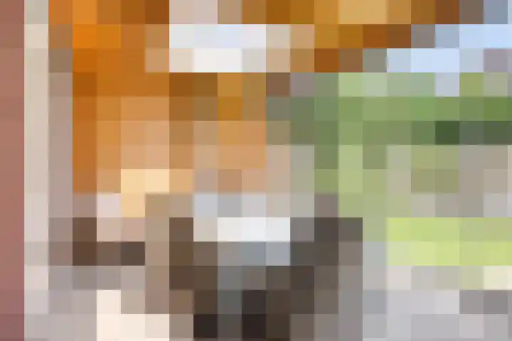Vossenstaart 3 Made thumbnail 33