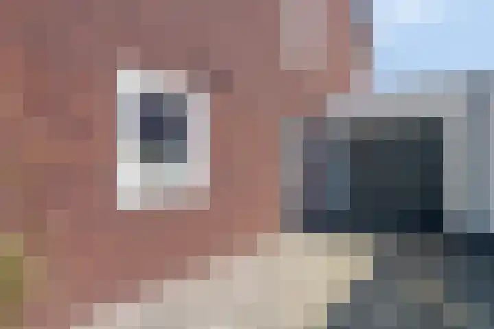 Vossenstaart 3 Made thumbnail 41