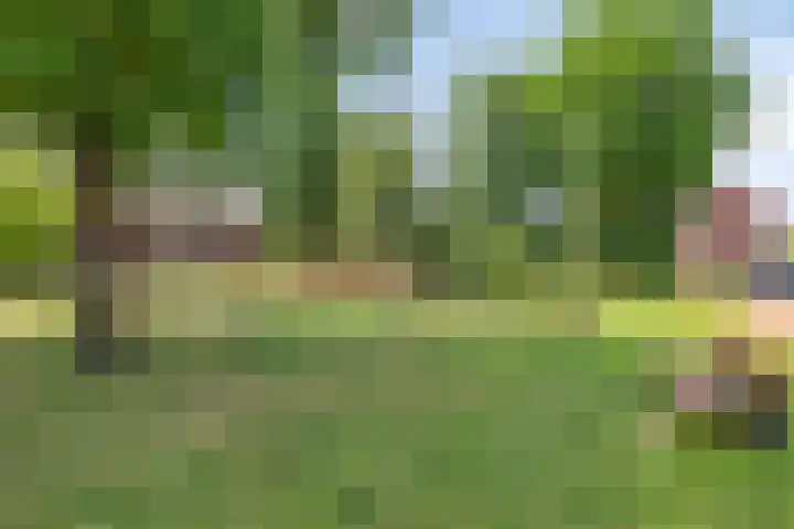 Vossenstaart 3 Made thumbnail 44