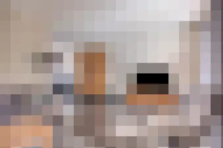 Vossenstaart 3 Made thumbnail 8