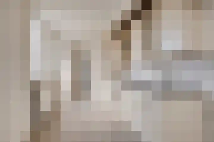 Vossenstraat 8 Helmond thumbnail 11
