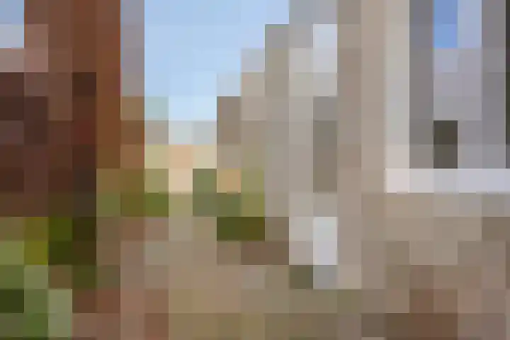 Vossenstraat 8 Helmond thumbnail 25