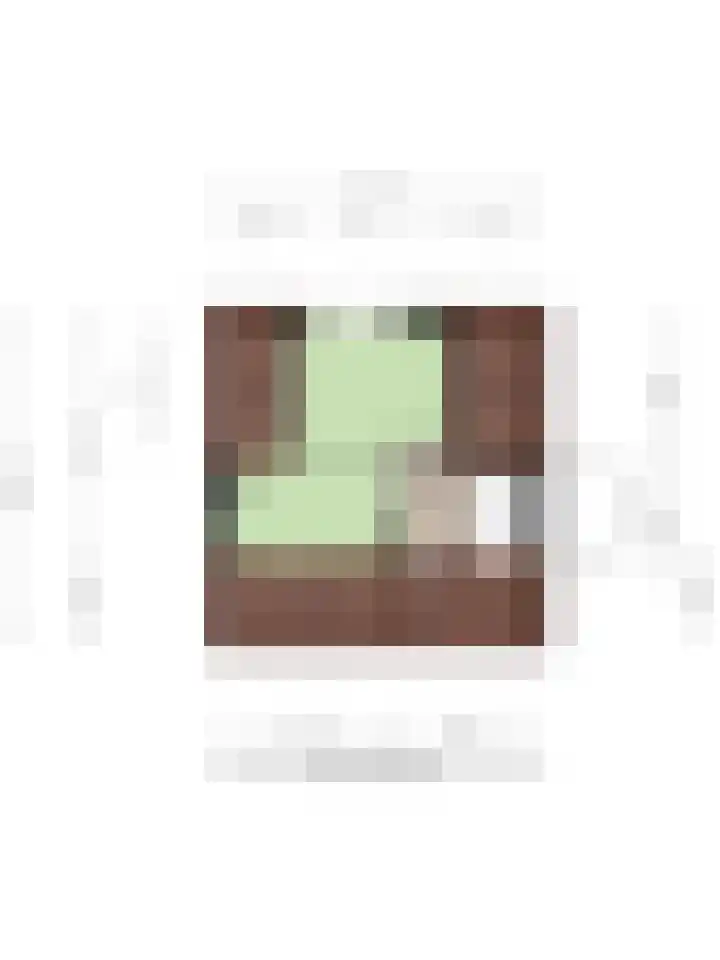 Vossenstraat 8 Helmond thumbnail 34