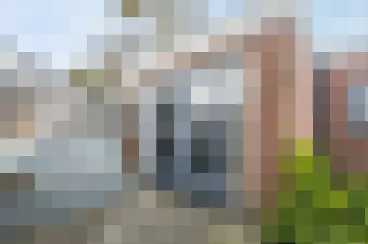 Vossenweg 12 Doorn thumbnail 20
