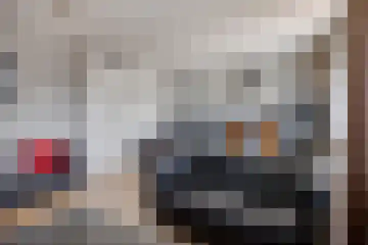 Vossenzoom 16 Pijnacker thumbnail 10