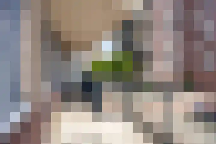 Vossenzoom 16 Pijnacker thumbnail 13