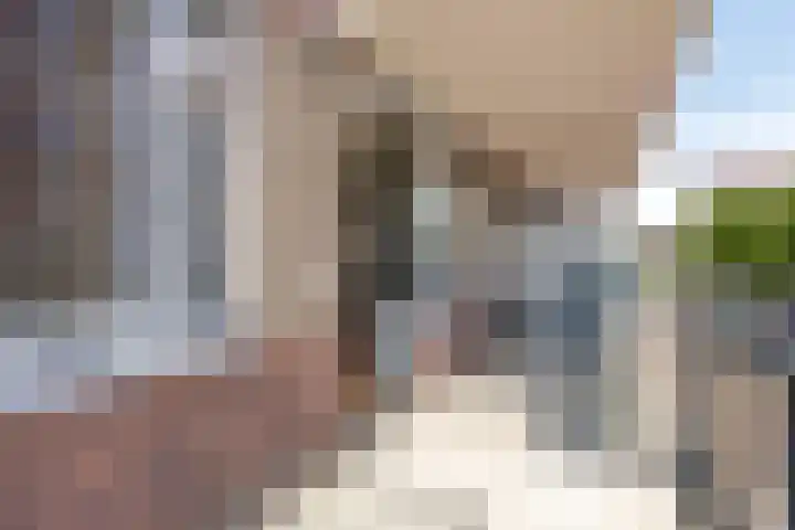 Vossenzoom 16 Pijnacker thumbnail 14