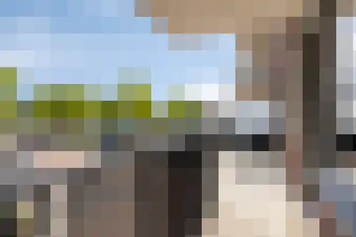 Vossenzoom 16 Pijnacker thumbnail 15