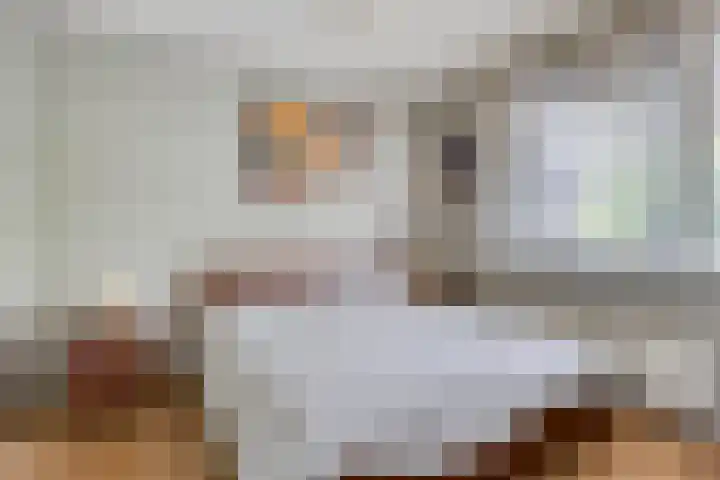Vossenzoom 16 Pijnacker thumbnail 16