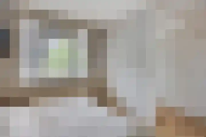 Vossenzoom 16 Pijnacker thumbnail 17