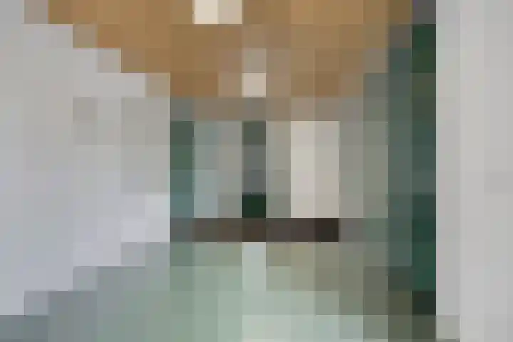 Vossenzoom 16 Pijnacker thumbnail 4