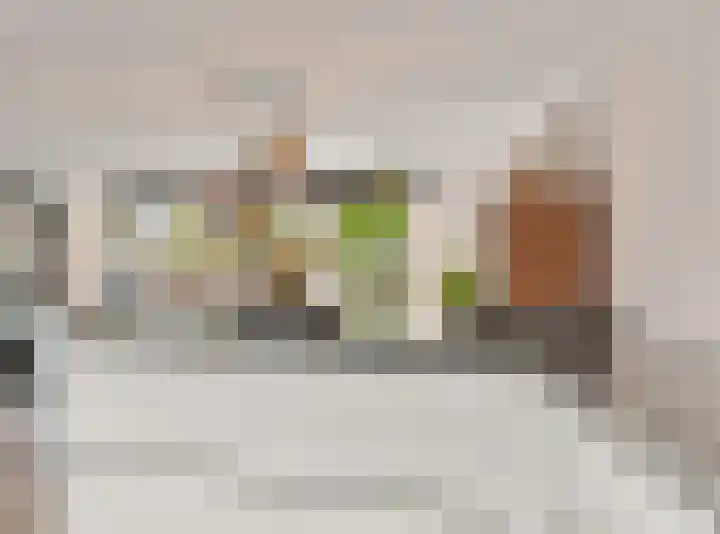 Vossenzoom 246 Pijnacker thumbnail 14
