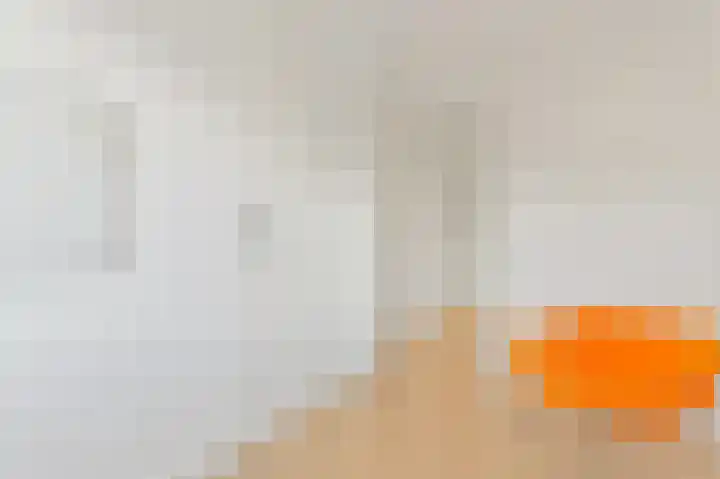 Vossenzoom 246 Pijnacker thumbnail 25