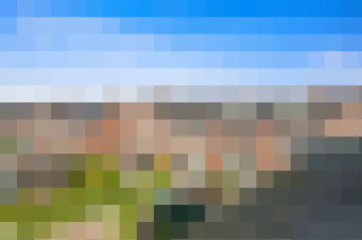 Vossenzoom 246 Pijnacker thumbnail 29