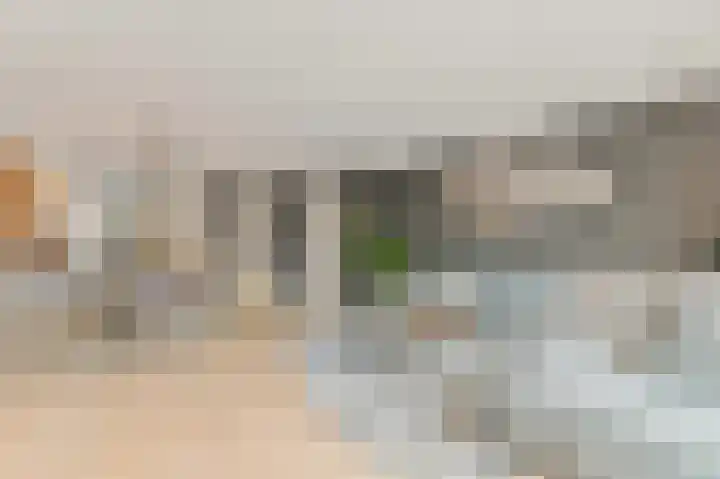 Vossenzoom 246 Pijnacker thumbnail 5