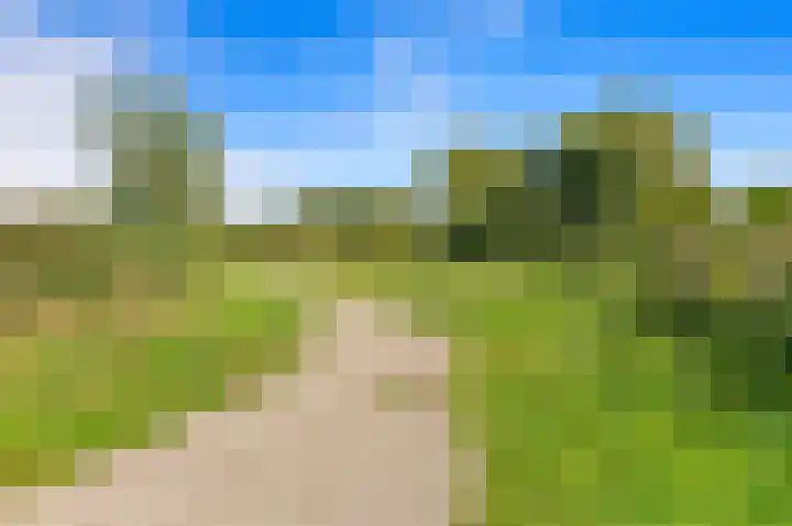 Vossenzoom 246 Pijnacker thumbnail 54