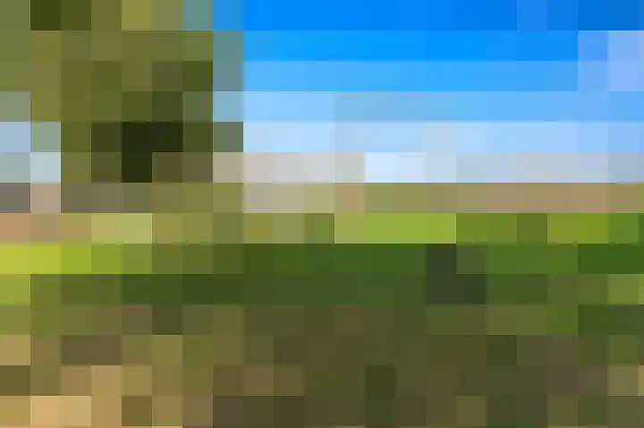 Vossenzoom 246 Pijnacker thumbnail 55