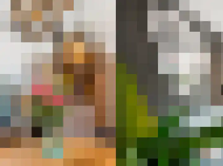 Vossenzoom 246 Pijnacker thumbnail 6