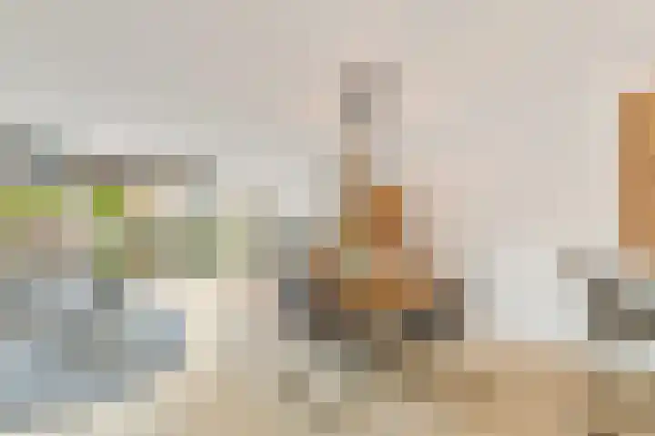 Vossenzoom 246 Pijnacker thumbnail 7