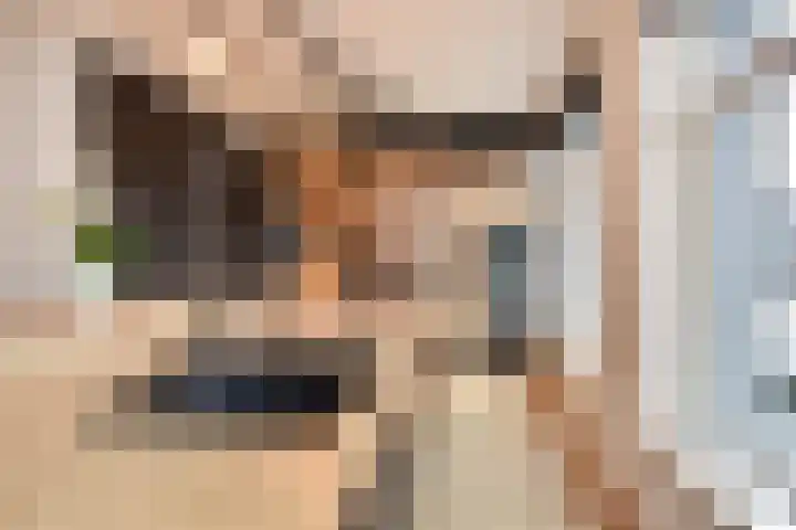 Vossenzoom 253 Pijnacker thumbnail 14