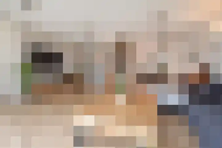 Vossenzoom 253 Pijnacker foto 2