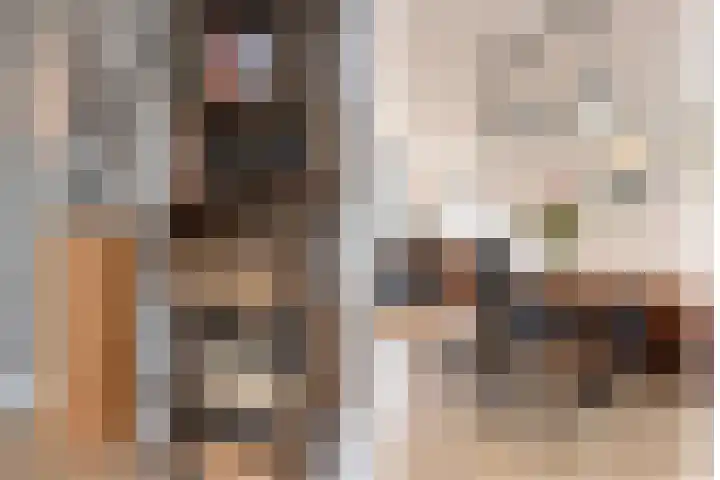 Vossenzoom 253 Pijnacker thumbnail 21