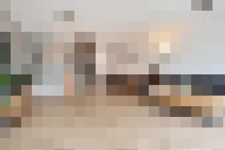 Vossenzoom 253 Pijnacker thumbnail 23