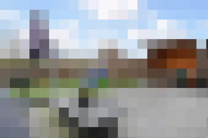 Vossenzoom 253 Pijnacker thumbnail 27