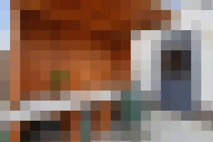 Vossenzoom 253 Pijnacker thumbnail 28