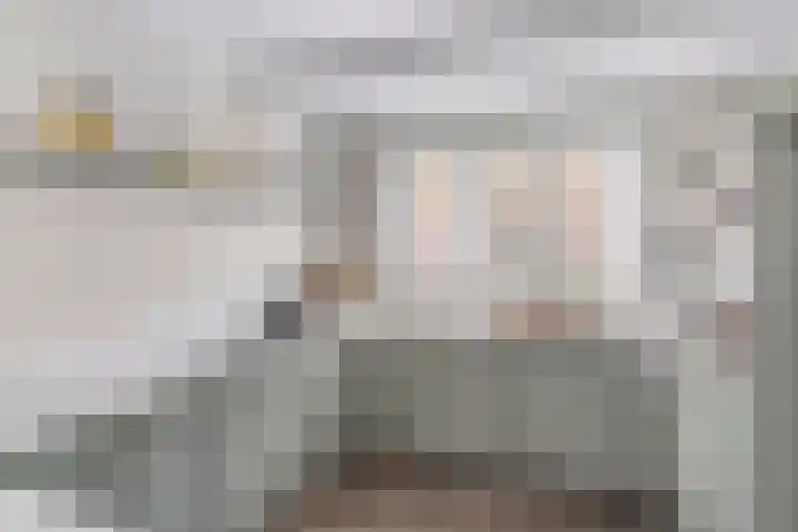 Vossenzoom 253 Pijnacker foto 3