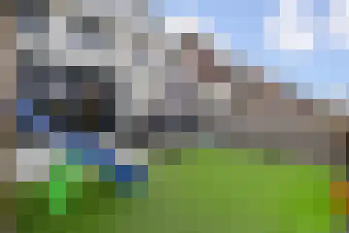 Vossenzoom 253 Pijnacker thumbnail 32