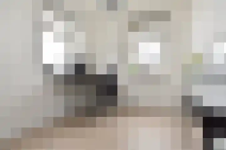 Vossenzoom 253 Pijnacker thumbnail 36