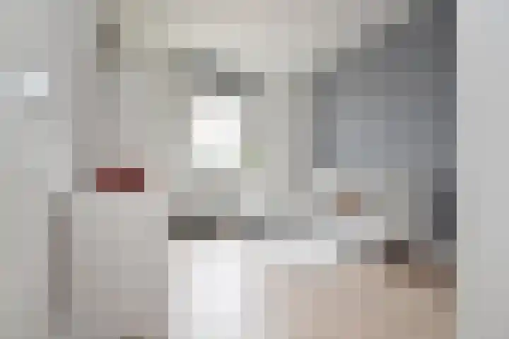 Vossenzoom 253 Pijnacker thumbnail 38