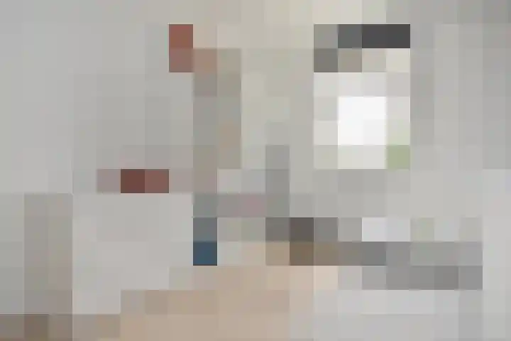 Vossenzoom 253 Pijnacker thumbnail 39