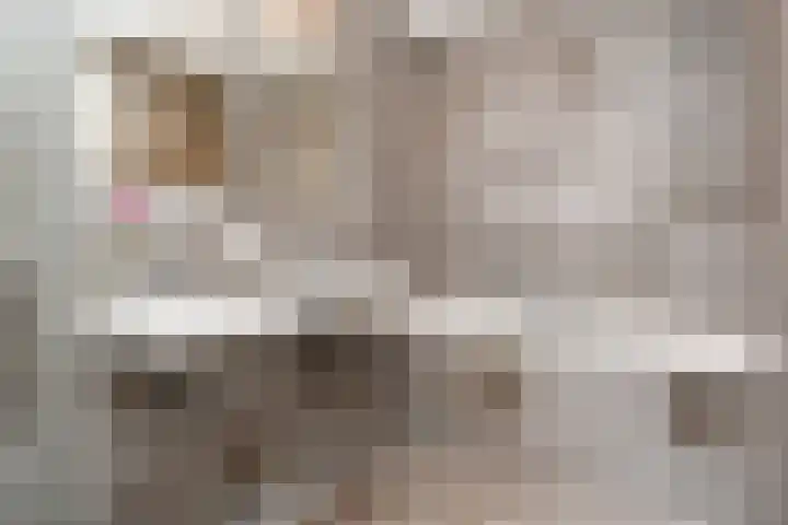 Vossenzoom 253 Pijnacker thumbnail 41